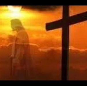 Meet your Posher, Cassandra